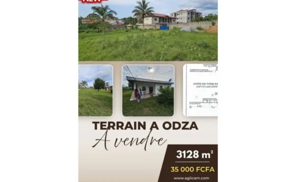 TERRAIN TITRÉ DE 3128 M² À VENDRE – ODZA BORNE 12