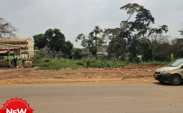 TERRAIN TITRÉ DE 2386 M² À VENDRE – ODZA BORNE 12