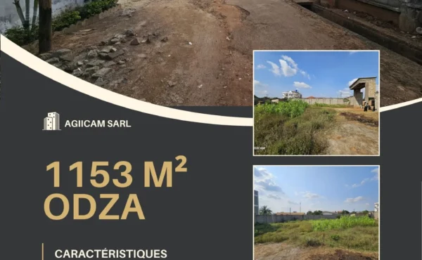 Terrain titré de 1153m² à vendre à Odza Borne 12 YAOUNDE