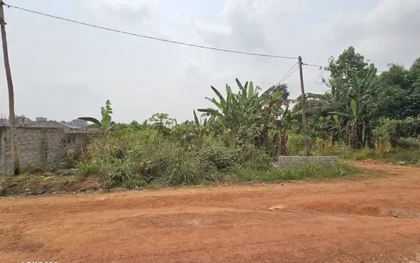 VENTE DE 2 LOTS COMMERCIAUX / HABITATION – Lada – 10ᵉ arrêt Nkoabang Yaoundé
