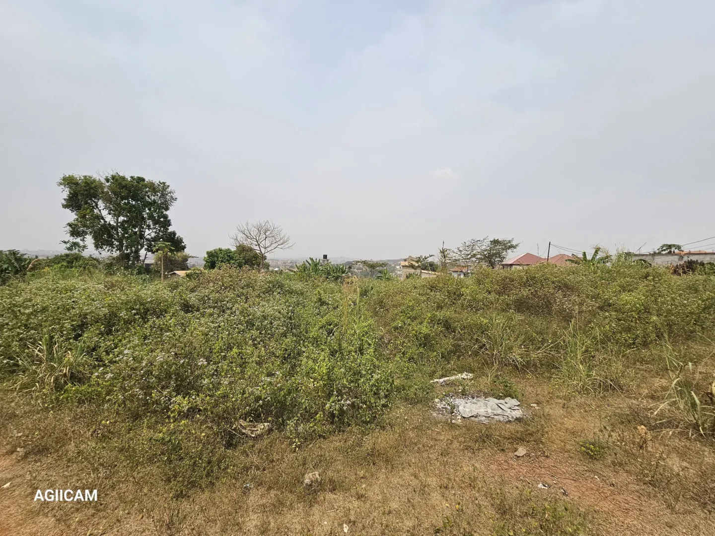 TERRAIN TITRÉ À NKOABANG YAOUNDE
