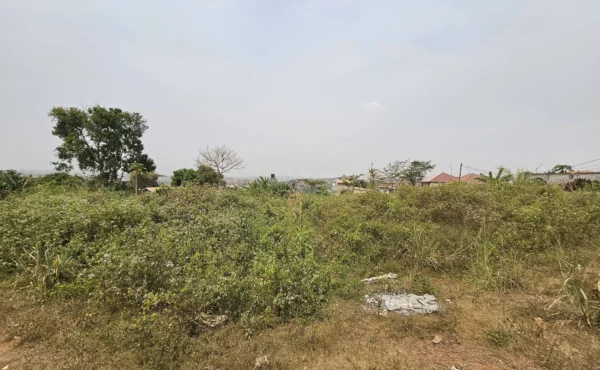 TERRAIN TITRÉ À NKOABANG YAOUNDE