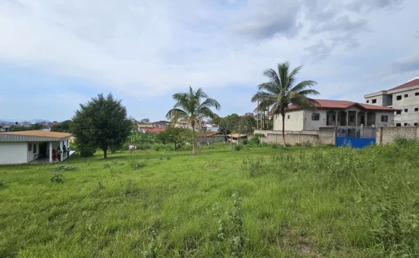 TERRAIN TITRÉ DE 3128 M² À VENDRE – ODZA BORNE 12