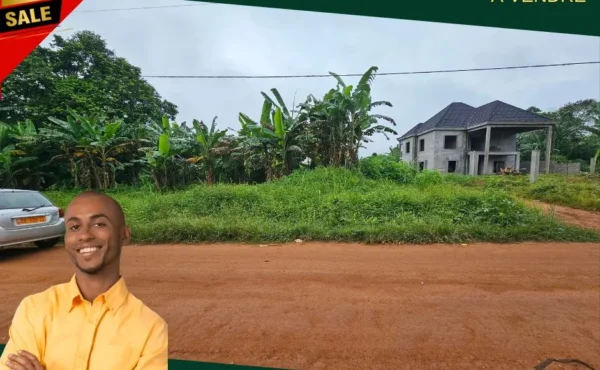 TERRAIN TITRE À VENDRE – EYANG, NKOLBISSON (Yaoundé)