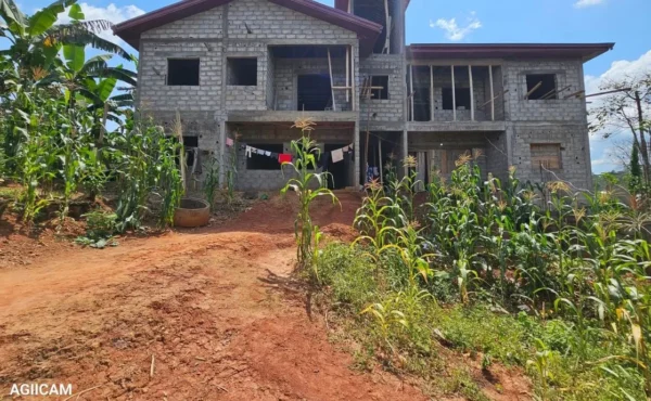 TERRAIN TITRE A VENDRE A LEBOUDI / NKOLBISSON YAOUNDE
