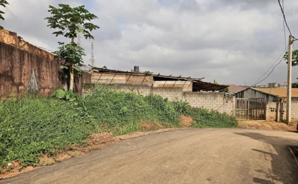 Terrain titré à vendre À BORNE 10 ODZA YAOUNDE