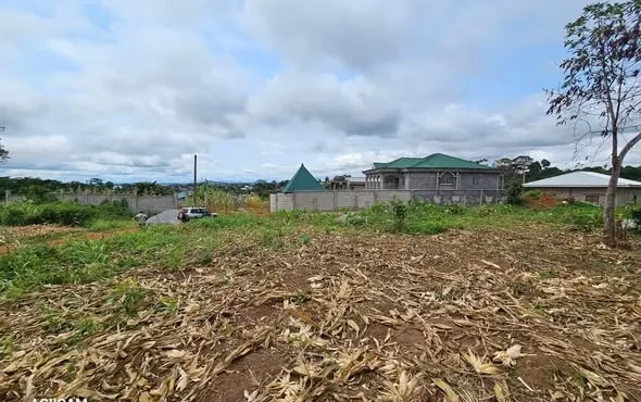 TERRAIN TITRÉ À VENDRE – NYOM YAOUNDE