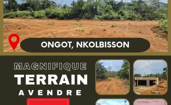 Terrain titré à vendre à Ongot, Nkolbisson Yaoundé