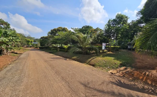 Terrain titré de 2000 m² à vendre à NOUMA YAOUNDÉ