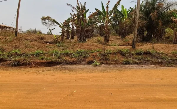Terrain titré de 4000 m² à vendre à Nouvelle route Nkolbisson, YAOUNDÉ