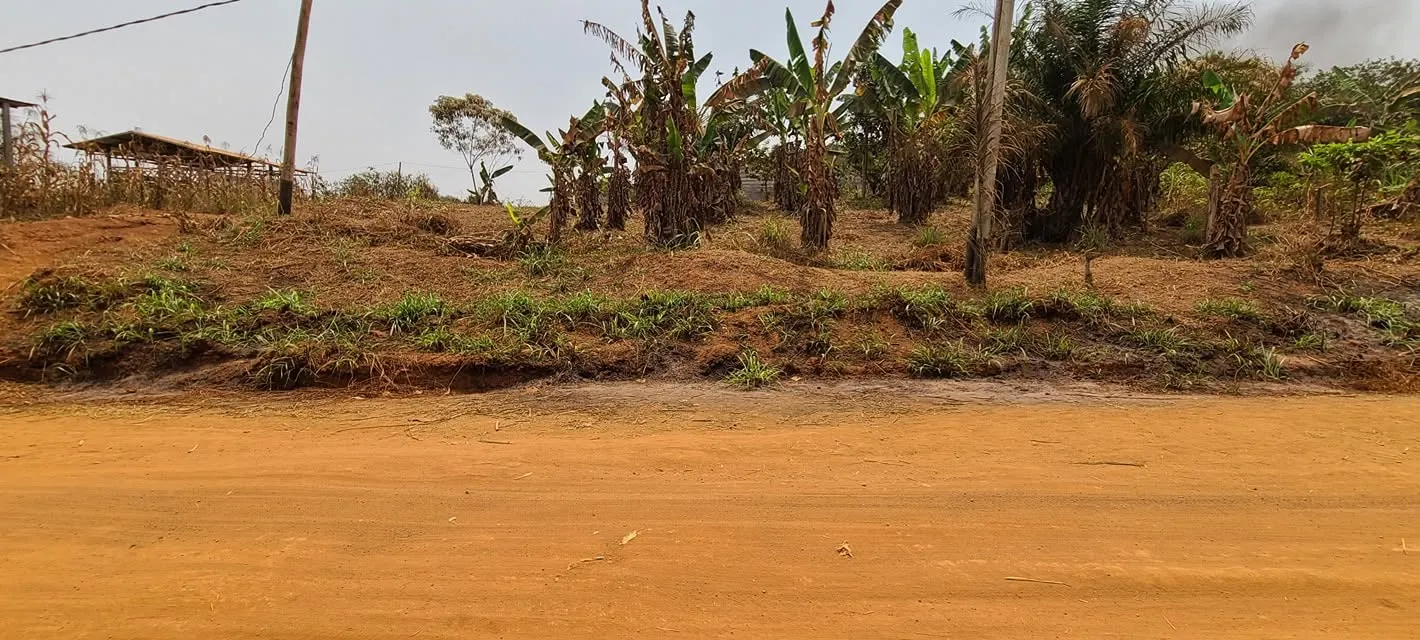 Terrain titré de 4000 m² à vendre à Nouvelle route Nkolbisson, YAOUNDÉ