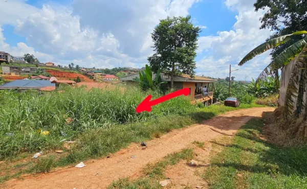 Terrain titré de 500 m²à vendre à Mvan Yaoundé