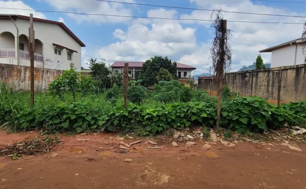 Terrain titré de superficie 1000 m² à vendre à Biyem-assi Yaoundé