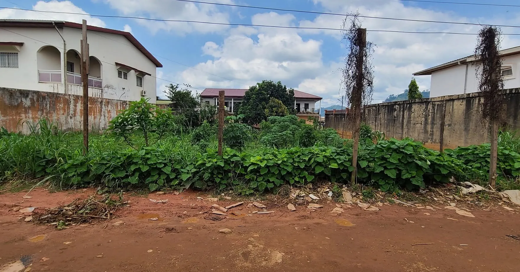 Terrain titré de superficie 1000 m² à vendre à Biyem-assi Yaoundé