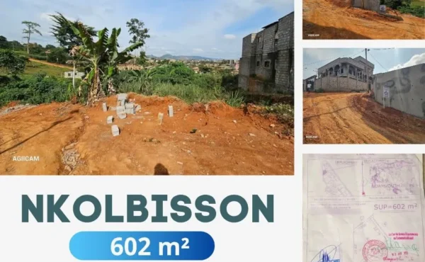 VENTE TERRAIN TITRÉ A NOUVELLE ROUTE NKOLBISSON YAOUNDE
