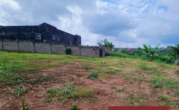 TERRAIN TITRÉ À VENDRE  À YAOUNDÉ, ODZA AUBERGE BLEUE