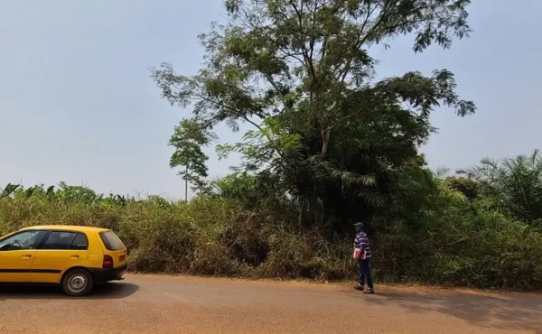 Terrain titré de 5002 m² à vendre à LEBOUDI  YAOUNDÉ