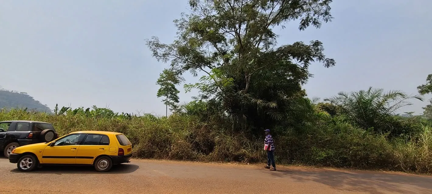 Terrain titré de 5002 m² à vendre à LEBOUDI  YAOUNDÉ