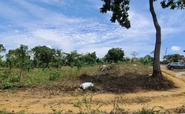 TERRAIN TITRÉ A VENDRE A NKOLNDA YAOUNDE