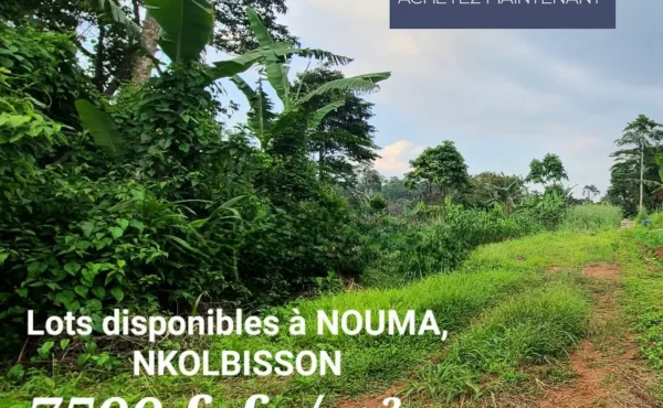 TERRAIN TITRÉ À VENDRE À NOUMA NKOLBISSON YAOUNDE