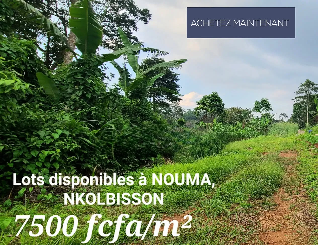TERRAIN TITRÉ À VENDRE À NOUMA NKOLBISSON YAOUNDE