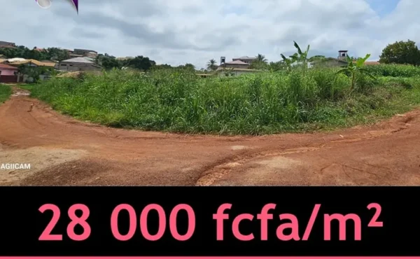 Terrain commercial de 2000 m² à vendre à Odza, Yaoundé.