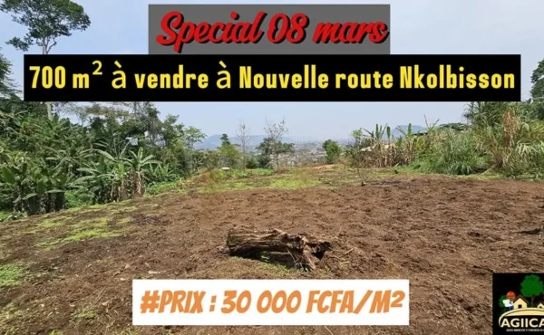Terrain de 700 m² à vendre à la Nouvelle Route Nkolbisson
