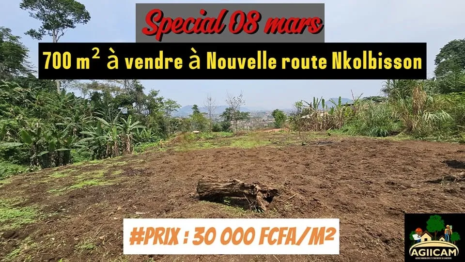 Terrain de 700 m² à vendre à la Nouvelle Route Nkolbisson