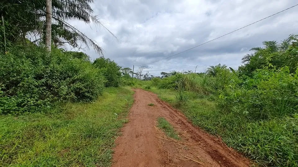 Terrain titré de 1000 m² à vendre à NTOUN PAR ODZA YAOUNDÉ