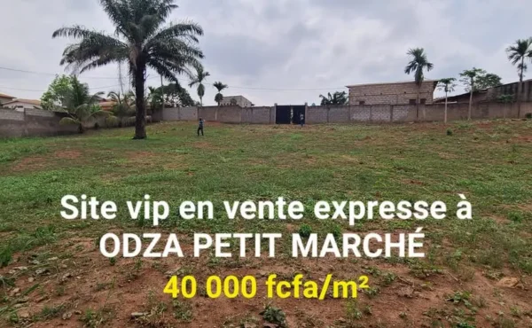 Terrain titré de 1000 m² à vendre à Odza petit marché YAOUNDÉ