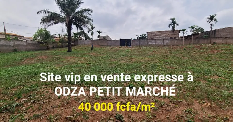 Terrain titré de 1000 m² à vendre à Odza petit marché YAOUNDÉ