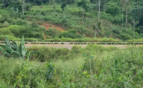 Terrain titré de 300 m² à vendre à MAETUR NGOULEMEKONG, YAOUNDÉ