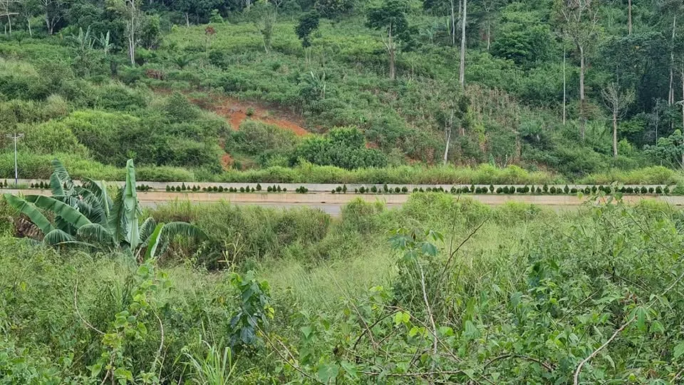 Terrain titré de 300 m² à vendre à MAETUR NGOULEMEKONG, YAOUNDÉ