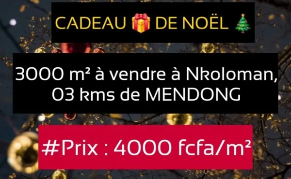 Terrain titré de 3000  m² à vendre à NKOLOMAN YAOUNDÉ