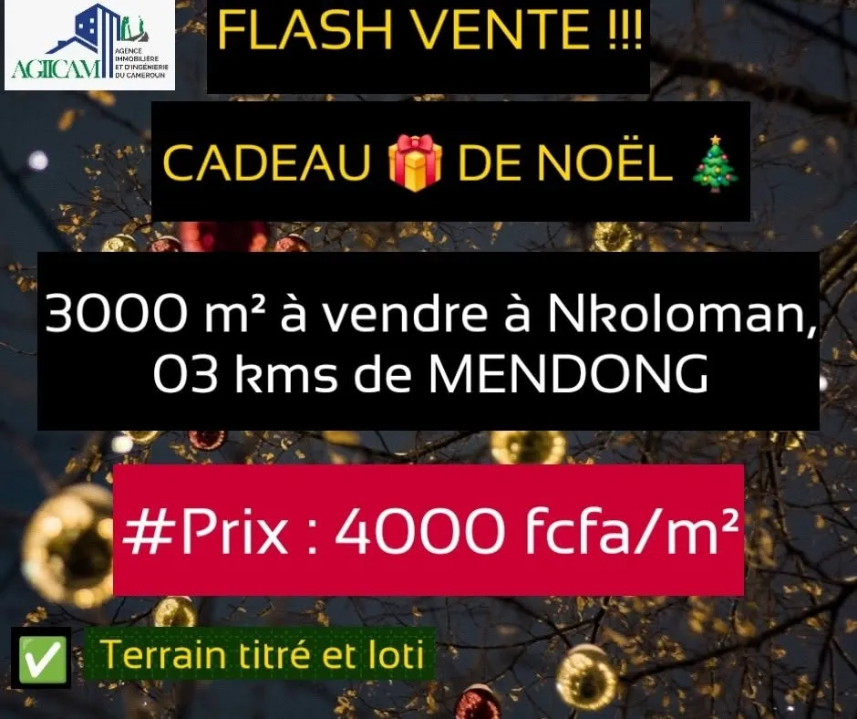 Terrain titré de 3000  m² à vendre à NKOLOMAN YAOUNDÉ