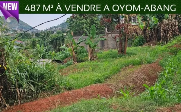 Terrain titré de 487m² à vendre à Oyom-abang, YAOUNDÉ