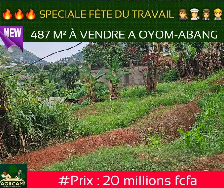 Terrain titré de 487m² à vendre à Oyom-abang, YAOUNDÉ