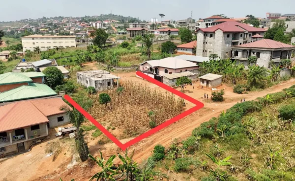 Terrain titré de 500 m² à vendre à MINKAN ODZA YAOUNDÉ