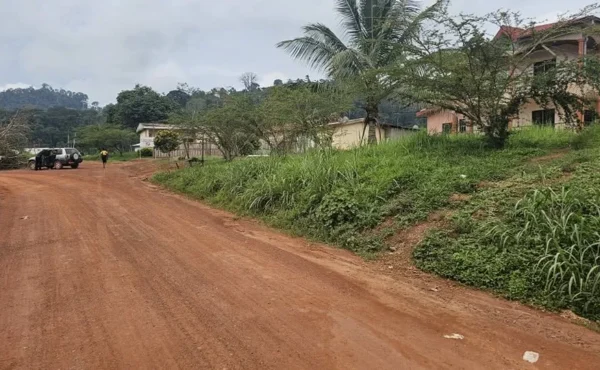 Terrain titré de 500 m² à vendre à NKOLOMAN YAOUNDÉ