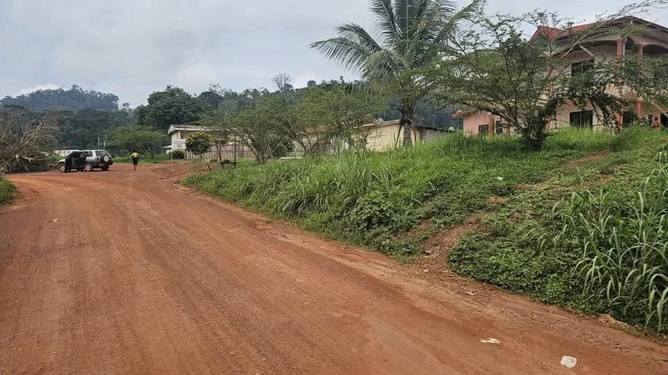 Terrain titré de 500 m² à vendre à NKOLOMAN YAOUNDÉ