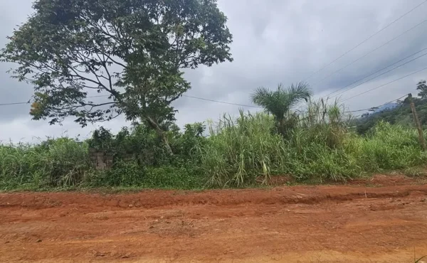 Terrain titré de 500 m² à vendre à Nkolbisson YAOUNDÉ