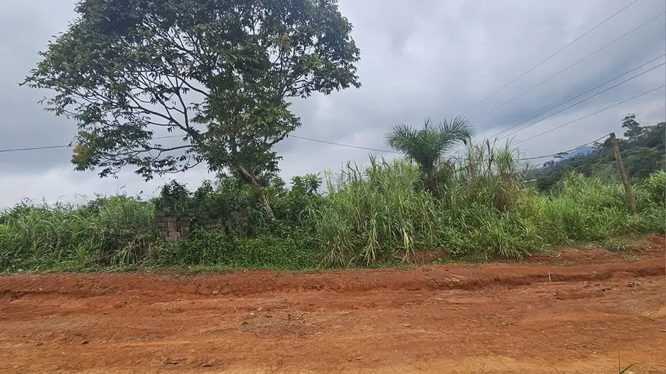 Terrain titré de 500 m² à vendre à Nkolbisson YAOUNDÉ