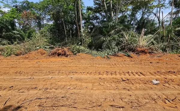 Terrain titré de 5000 m² à vendre à ONGOT, YAOUNDÉ
