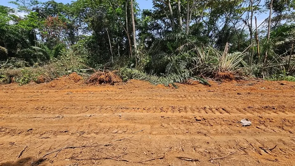 Terrain titré de 5000 m² à vendre à ONGOT, YAOUNDÉ
