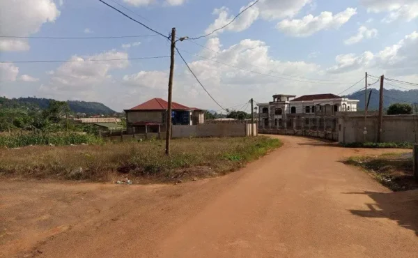 Terrains titrés de 1500 m² à vendre à LEBOUDI, YAOUNDÉ