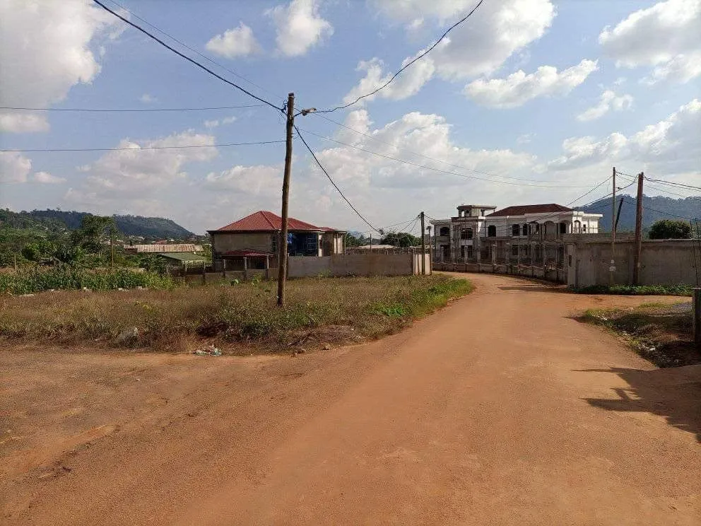Terrains titrés de 1500 m² à vendre à LEBOUDI, YAOUNDÉ
