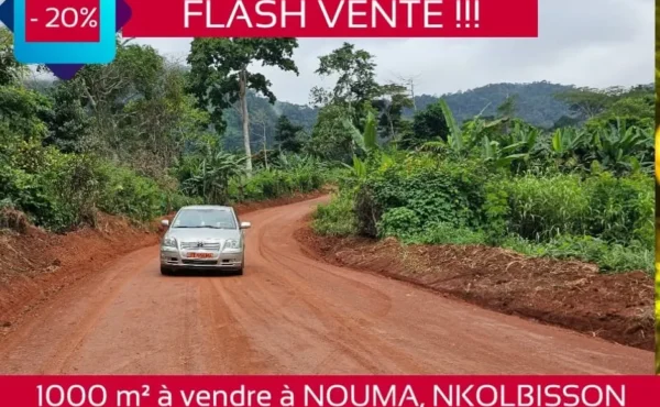 💥😍 URGENNNT !!! FLASH VENTE SPECIALE DÉCEMBRE 🔥🔥🔥TERRAIN TITRÉ ET LOTI A NOUMA, NKOLBISSON