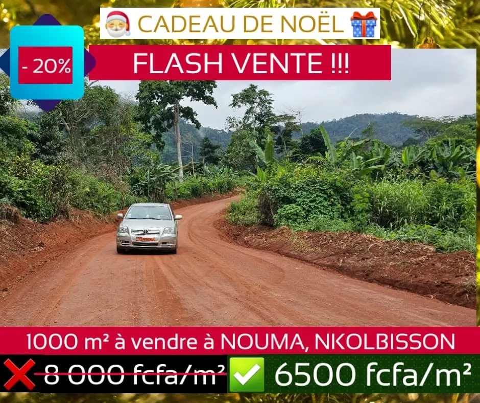 💥😍 URGENNNT !!! FLASH VENTE SPECIALE DÉCEMBRE 🔥🔥🔥TERRAIN TITRÉ ET LOTI A NOUMA, NKOLBISSON