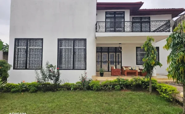 MAGNIFIQUE DUPLEX STYLE EUROPÉEN À VENDRE  À NKOABANG