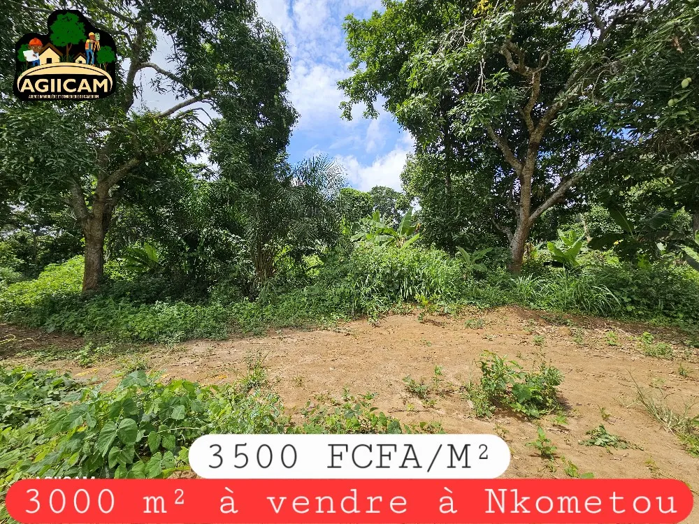 TERRAIN TITRé À VENDRE À  NKOMETOU Yaoundé